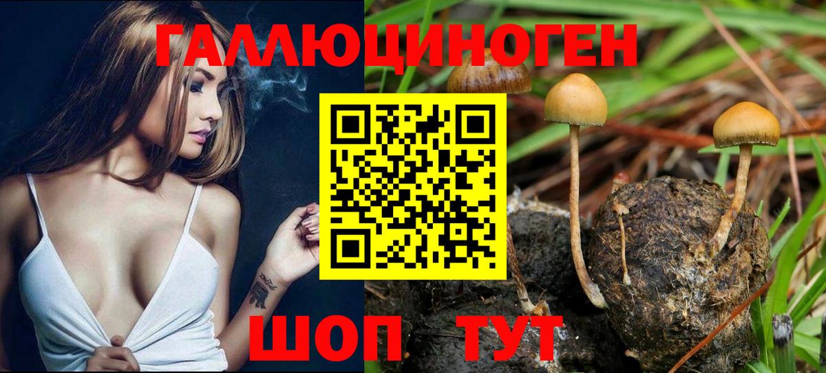 Галлюциногенные грибы мухоморы  Вход с VPN  Заволжье  Галлюциногенные грибы ЛСД 