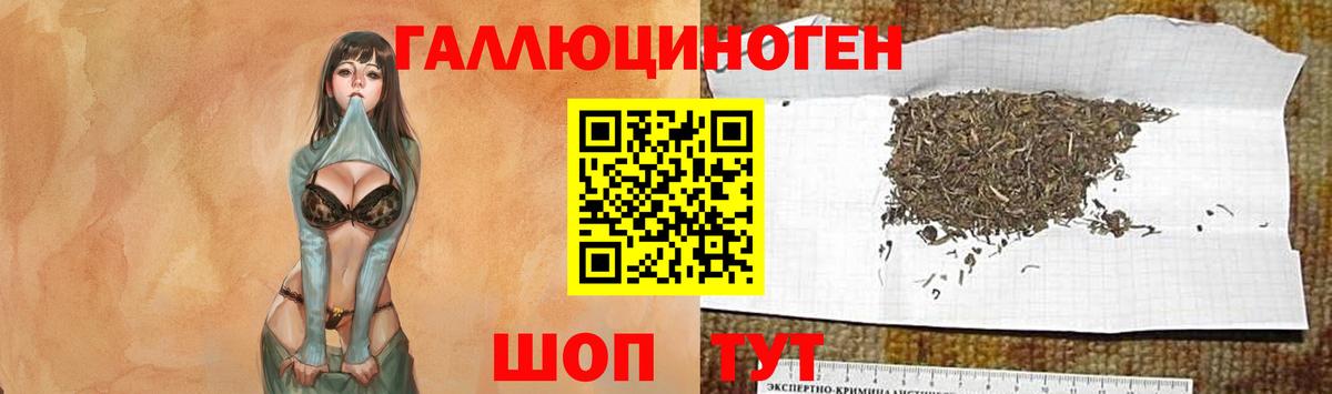 Псилоцибиновые грибы прущие грибы Заволжье